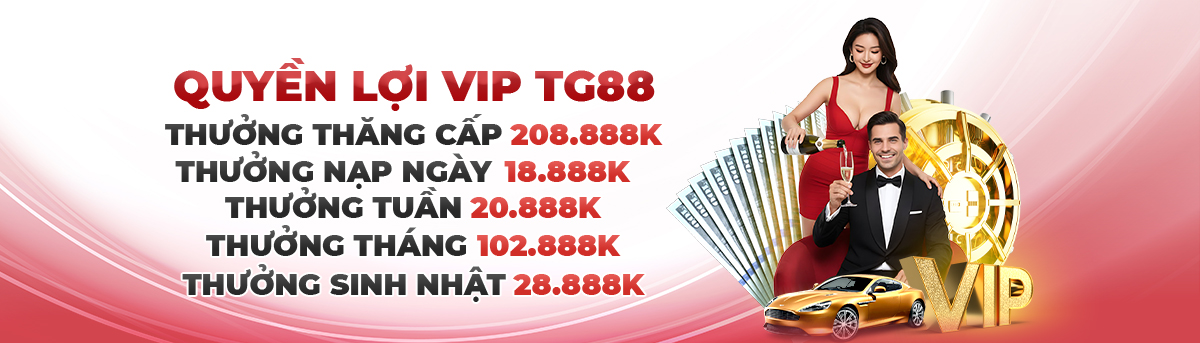 Dịch vụ di động TG88